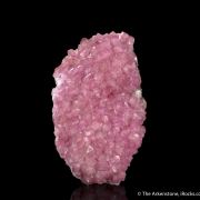 Calcite var. Cobaltoan