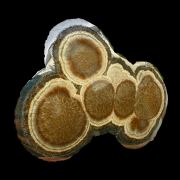 Baryte, marcasite