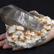 Huge Smoky Quartz with Spessartine Garnets & Muscovite