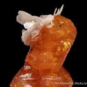 Scheelite with Muscovite