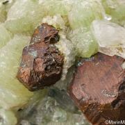 Copper with Prehnite