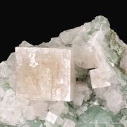 Hydroxyapophyllite-(K) on Prehnite