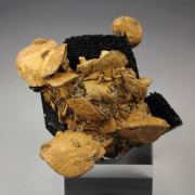 GOETHITE pseudomorph after SIDERITE, TOURMALINE var. SCHORL