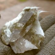 Quartz ( var. Smoky ) with Actinolite ( var. Byssolite )
