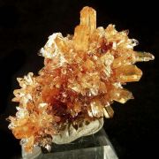 Creedite