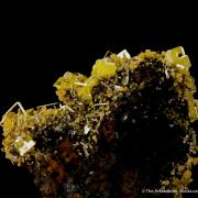 Wulfenite with Mimetite