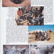 Liddicoatite Tourmaline on Quartz