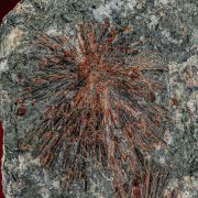 Normandite  VERY RARE