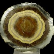 Baryte, marcasite
