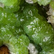 Cuprian Adamite