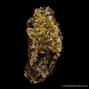 Wulfenite in pocket