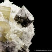 Scheelite, Fluorapatite and Quartz on Pyrite