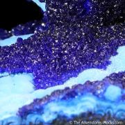 Azurite on Azurite (complete pocket)