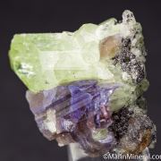 Tanzanite with Diopside