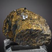 Sperrylite crystals with Native Gold on Chalcopyrite  (type locale)