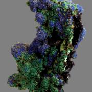 Azurite with Malachite