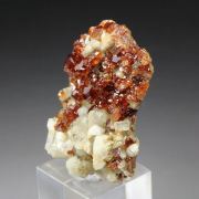 gem GARNET var. HESSONITE, DIOPSIDE