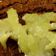 Adamite