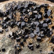 Andradite var. Melanite