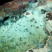 Azurite and Rosasite on Chrysocolla