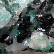 Clinoatacamite
