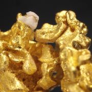 Gold (fine crystals) (3.18 grams)