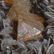 Scheelite on Muscovite