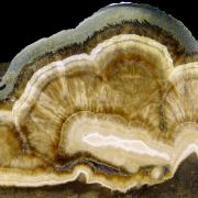 Baryte, marcasite
