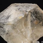 Glauberite