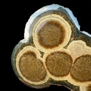 Baryte, marcasite