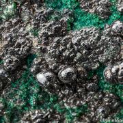 Heterogenite with Chrysocolla