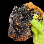 Phosphohedyphane after cerussite, desclozite