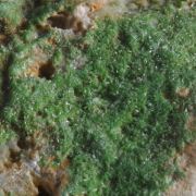Pyromorphite 