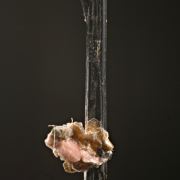 Serandite on Aegirine with Polylithonite, Leucophanite