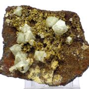 Wardite