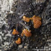 Hutchinsonite with Orpiment