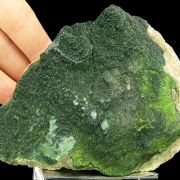 Botallackite, atacamite, paratacamite