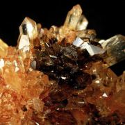 Creedite