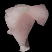 Calcite var. Manganoan (fluorescent)