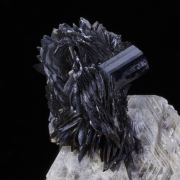 Tantalite on Muscovite with Schorl