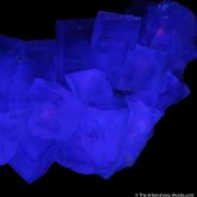 Fluorite with Calcite