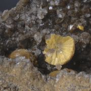 Boltwoodite