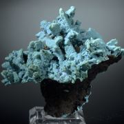 Chrysocolla ps Azurite/ Malachite