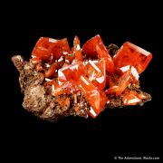 Wulfenite