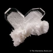 Quartz (Japan Law Twin) with Quartz