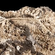 Silver on Native arsenic