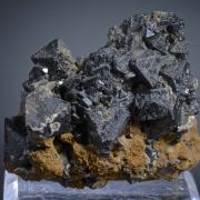 Spinel on Chondrodite  - USA classic