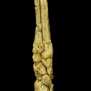 Gold (spinel twin)