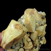 Anglesite With Cerussite, on Galena