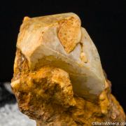 Herderite